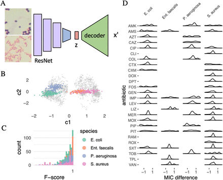 Figure 2: