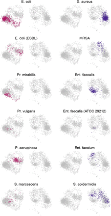 Figure S1:
