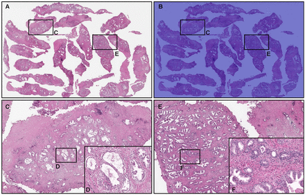 Fig. 6: