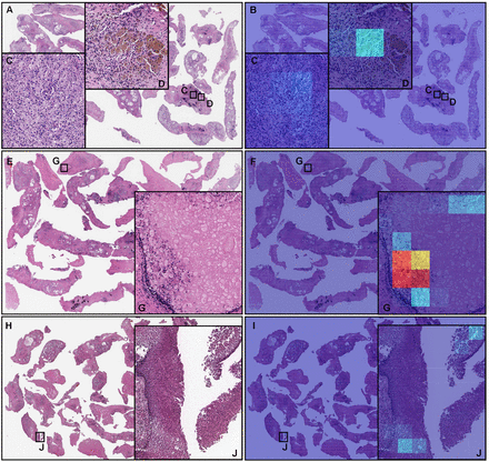 Fig. 7: