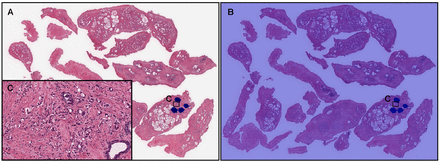 Fig. 8: