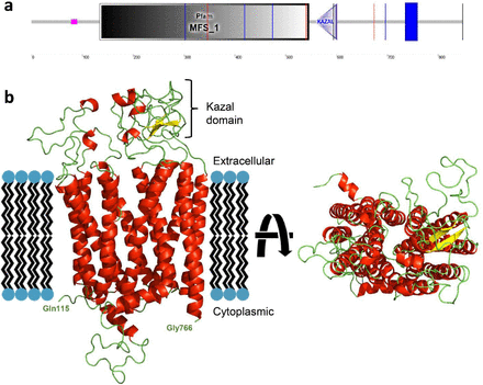 Fig. 3: