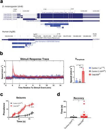 Fig. 4: