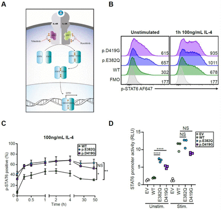 Figure 2:
