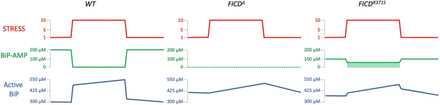 Figure 6: