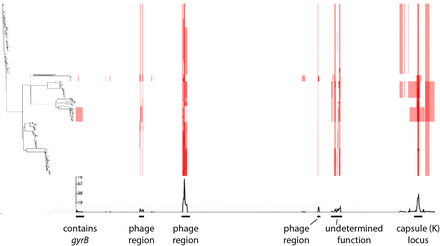 Figure 2: