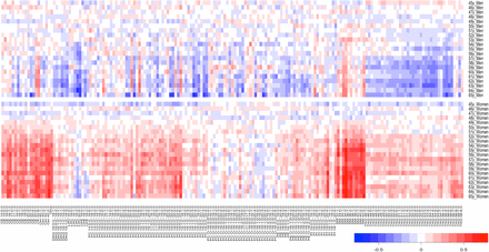 S3 Fig: