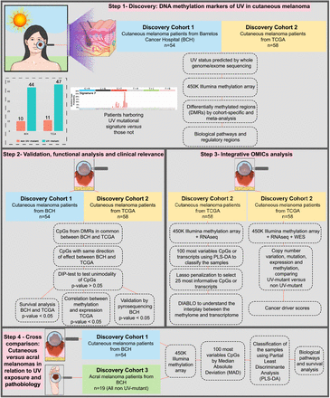 Figure 1: