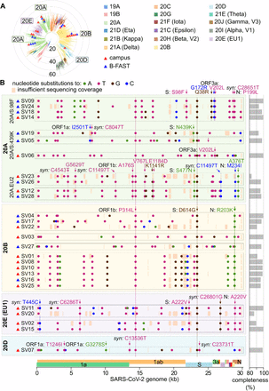 Supplemental Fig. S5: