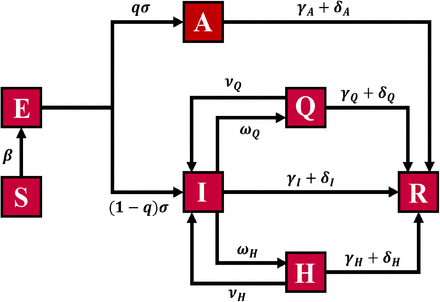 Figure 1:
