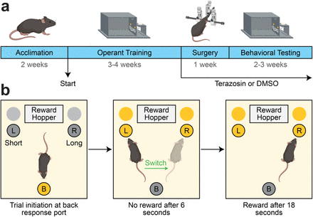 Figure 1: