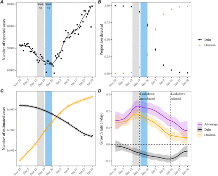 Figure 2: