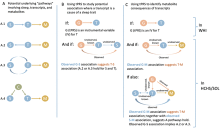 Figure 2: