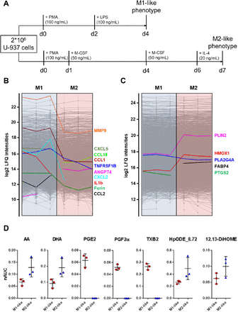 Figure 4: