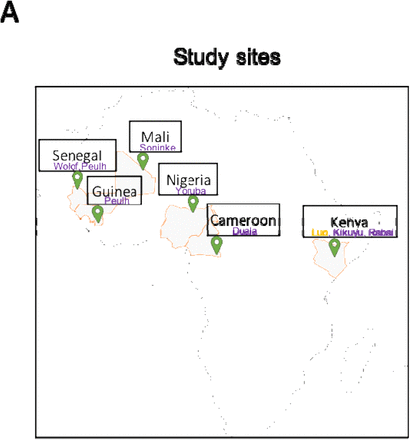 Figure 1: