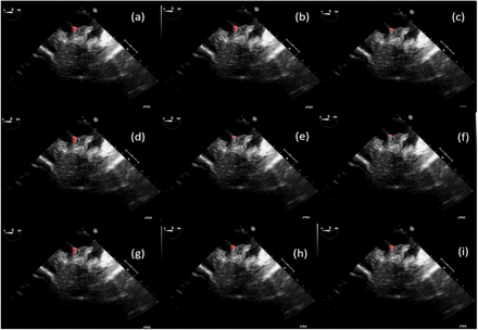 Figure 7.