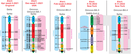 Fig 1.
