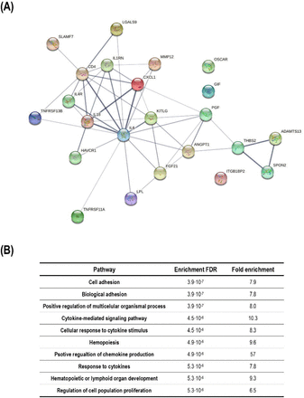 Figure 2: