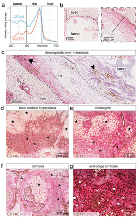 Figure 6: