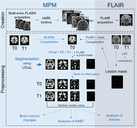 Figure 1:
