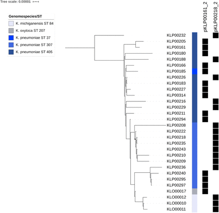 Supplementary Figure 3: