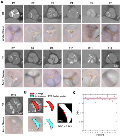 Fig. 2.