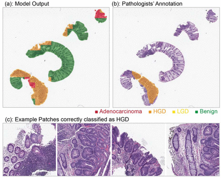 Figure 6:
