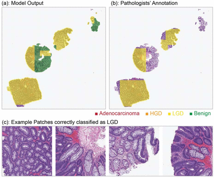 Figure 6: