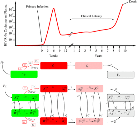 Figure 1: