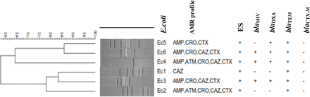 Figure 3.3:
