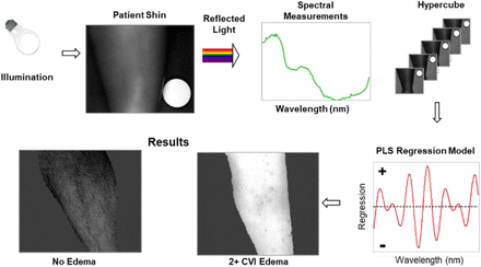 Figure 2A.