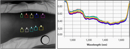 Figure 2B: