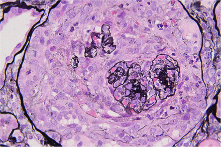 Figure 1: