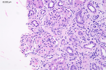 Figure 1: