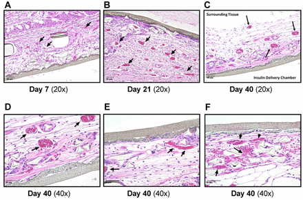 Fig 3.