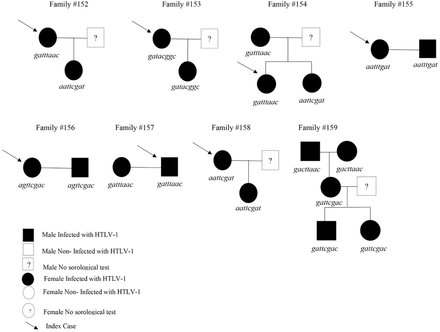 Fig 3.