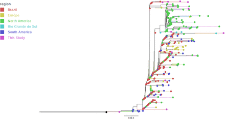 FIGURE 4