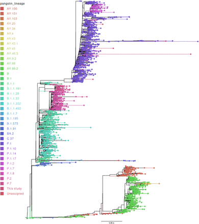 FIGURE 5