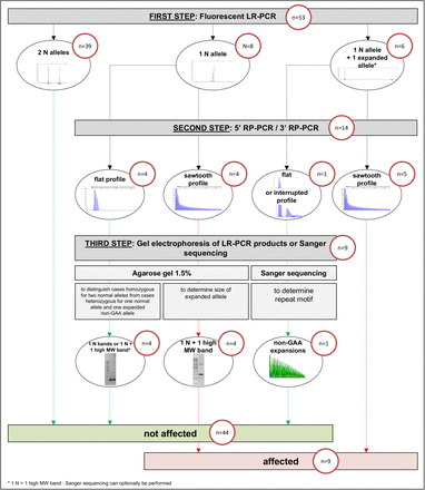 Figure 1: