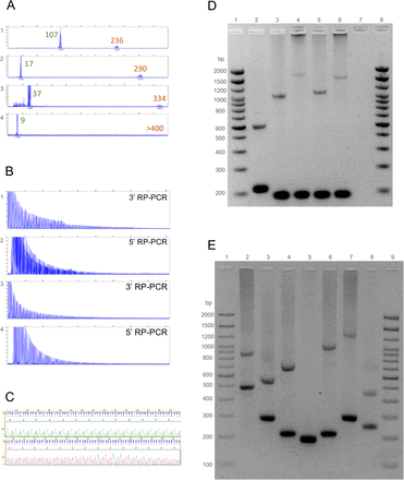 Figure 2: