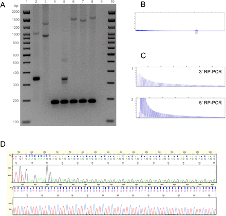 Figure 4:
