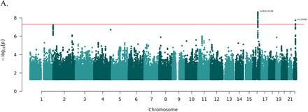 Figure 2: