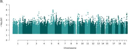 Figure 2: