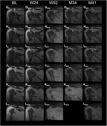 FIGURE S1.