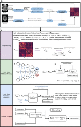 Figure 1: