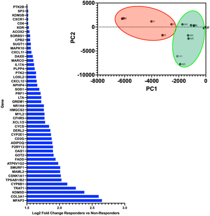Figure 4: