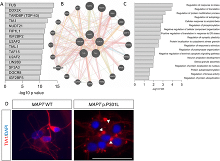 Figure 2: