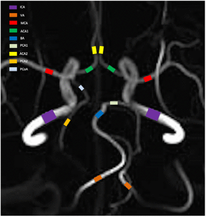 Figure 1.