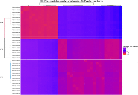 Figure 2d.