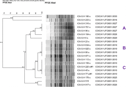 Figure 3a.